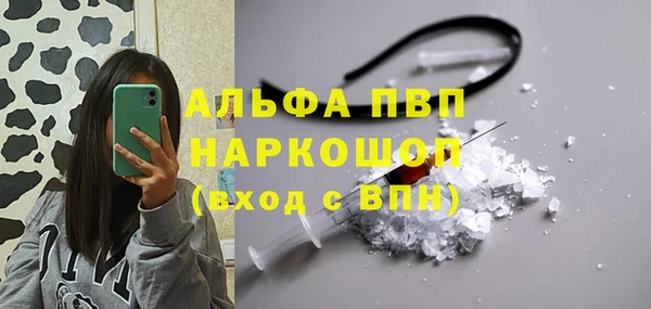 стаф Пестово